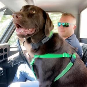 Meet your Posher, Sam